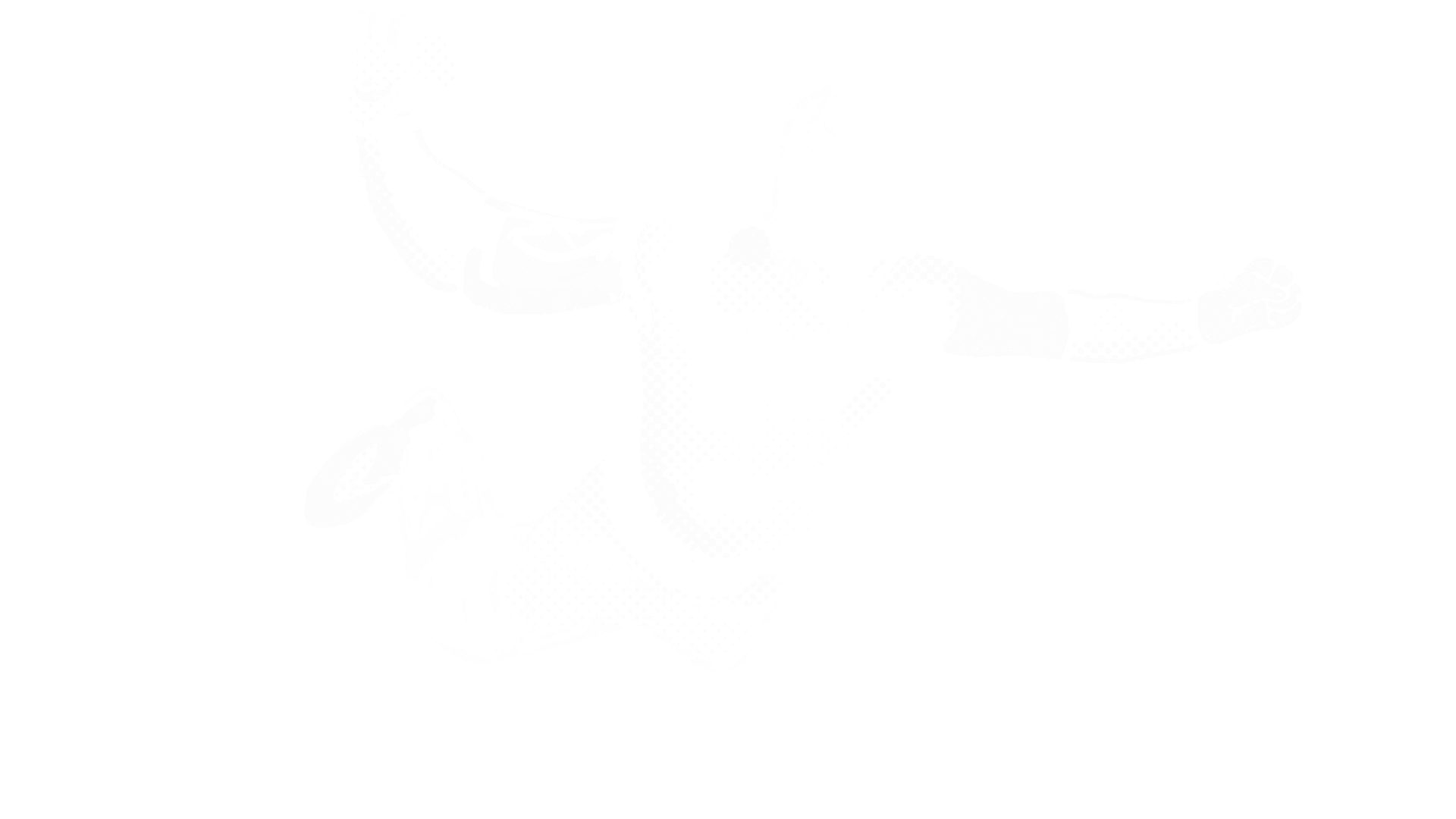 Chuchos Mexican Luchador mascot - A colorful Mexican wrestler character representing authentic Mexican street food